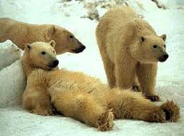 lazy Sunday.jpg