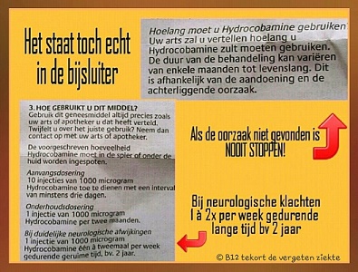 Informatie B12.jpg