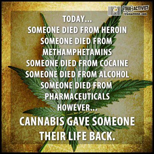 Cannabis gave  someone their life back.jpg