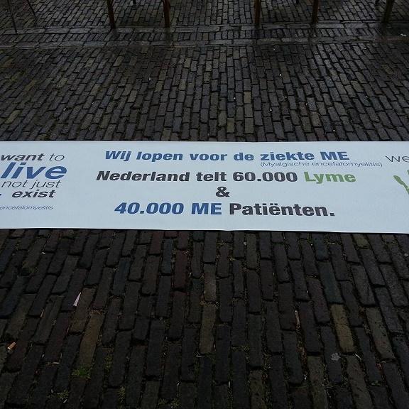 foto Lyme en ME.jpg