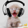 muziek.gif