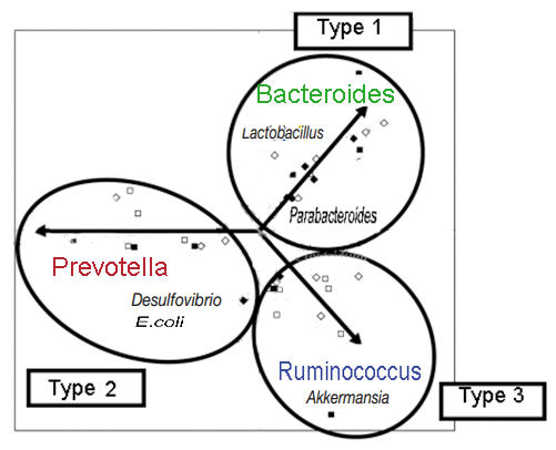 Enterotype_3.jpg