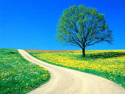 lange weg.jpg