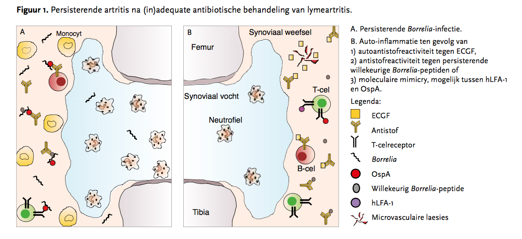 Schermafbeelding 2017-01-13 om 22.21.11.png