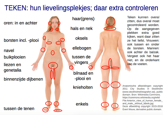 Teken lievelingsplekjes.png