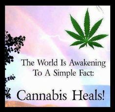 Cannabis heals.jpg